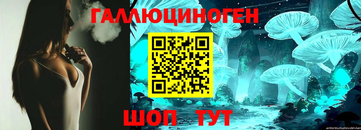 Галлюциногенные грибы Psilocybine cubensis Глазов
